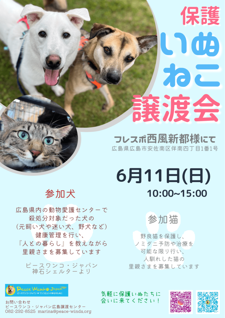 譲渡会・イベントのご案内 8 FA2B47FD 093D 451C BF42 D836A245EF70