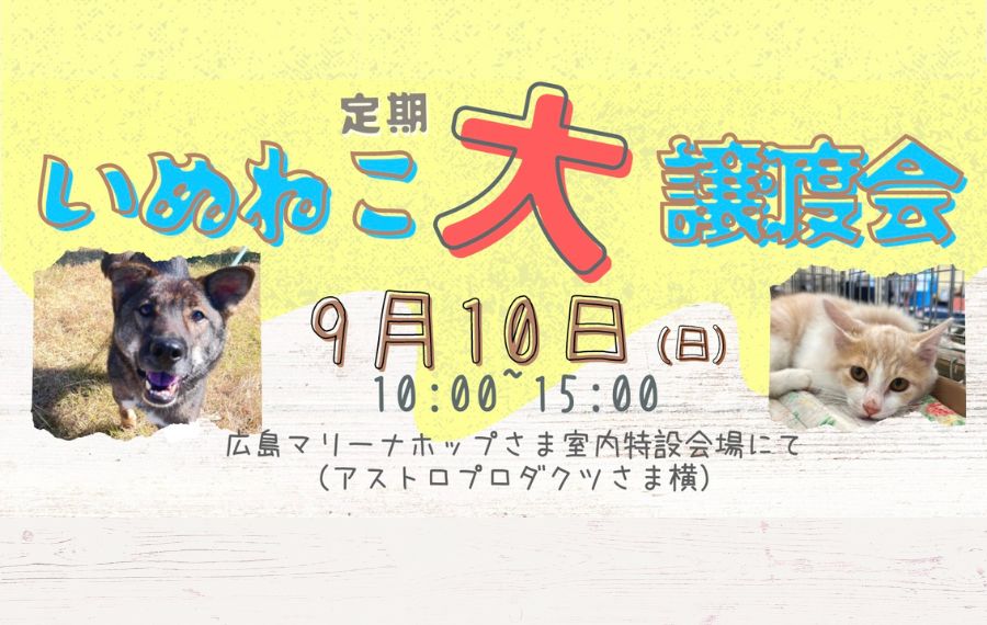 譲渡会・イベントのご案内 3 eyecatch 10 1