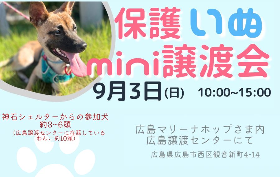 譲渡会・イベントのご案内 8 eyecatch 11