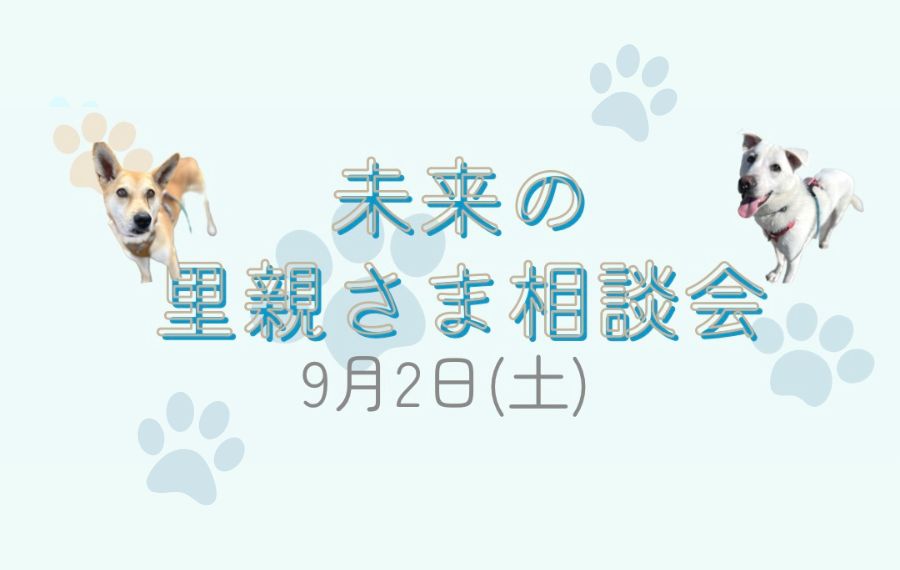 譲渡会・イベントのご案内 10 eyecatch 10