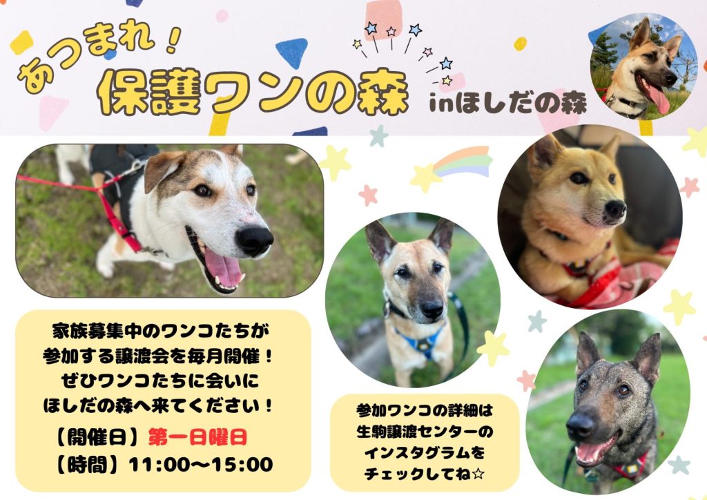 譲渡会・イベントのご案内 5 e7e2a7394f2a5d668f7df61fa0bd60d4