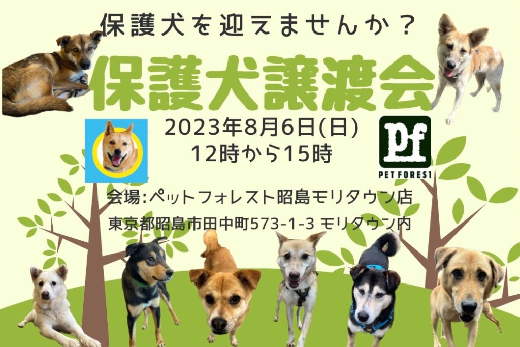 譲渡会・イベントのご案内 7 E32AC1FE 88AA 4244 91F9 7B960542AECF