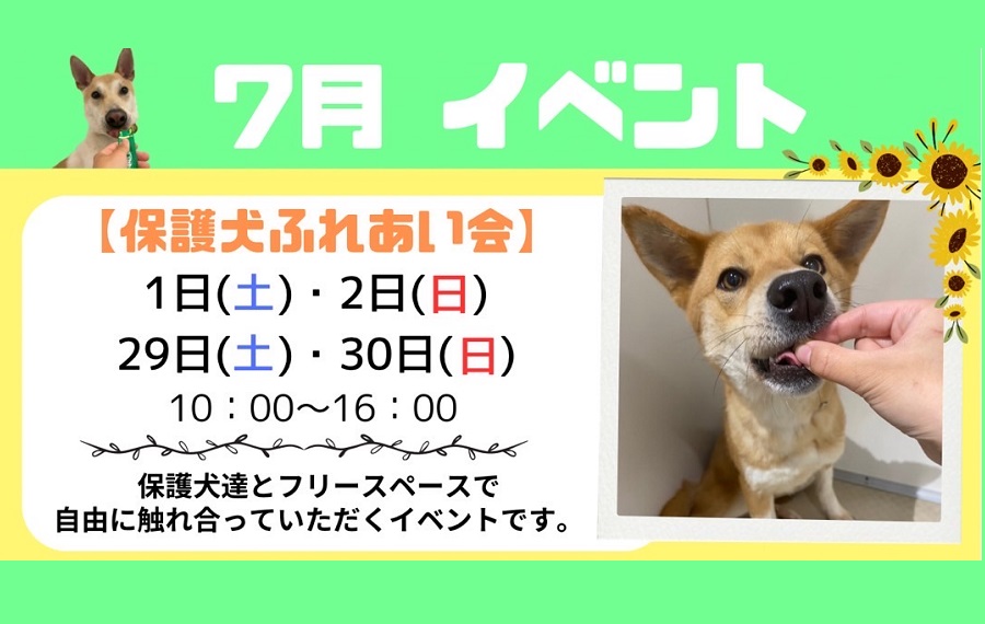 譲渡会・イベントのご案内 12 fukuyama