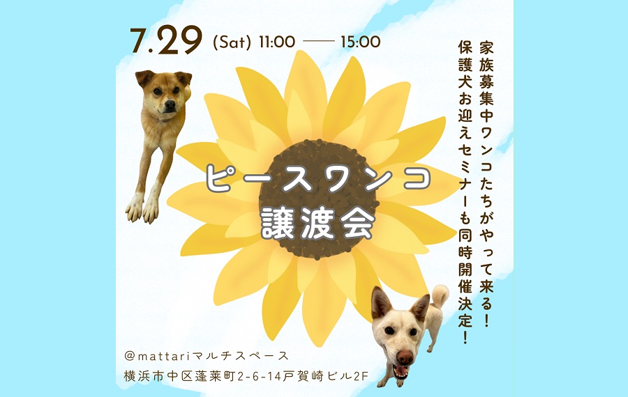 譲渡会・イベントのご案内 1 1e3fa04aeec390933a34538a78450fe5