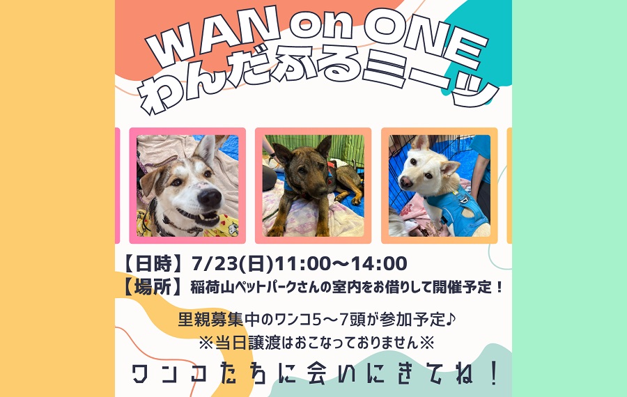 譲渡会・イベントのご案内 5 aac86f4e84d1d441d57aa04f49e18d1c