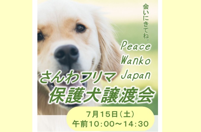 譲渡会・イベントのご案内 11 eyecatch3