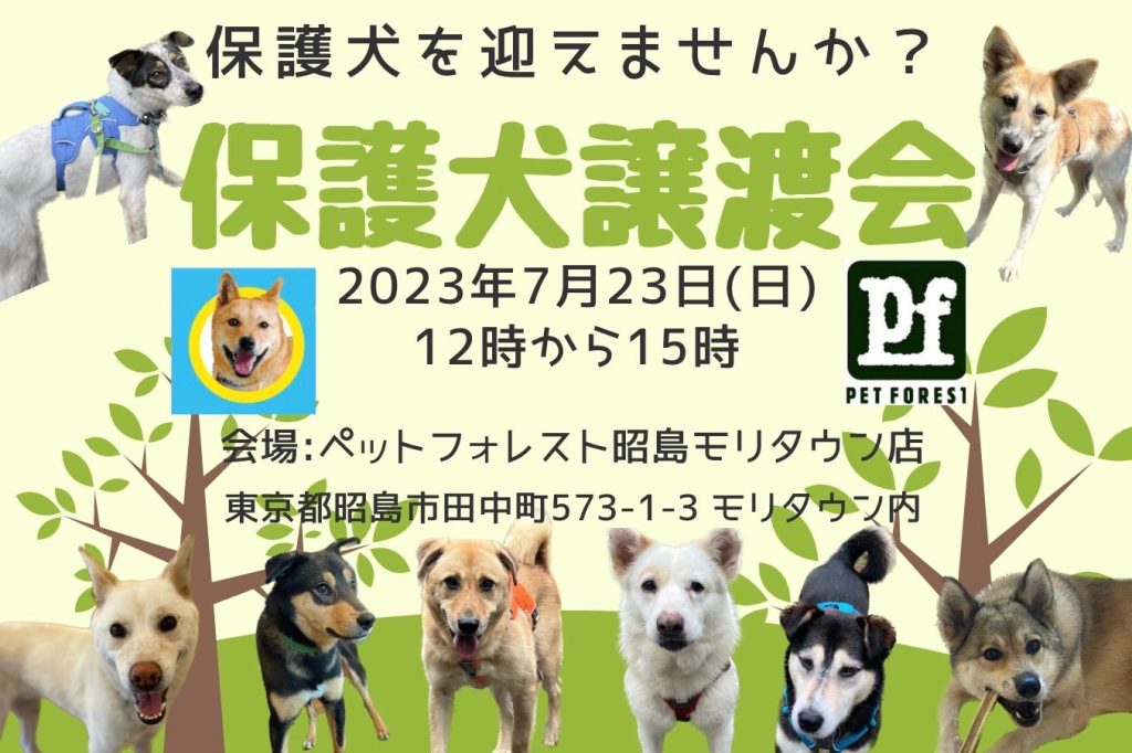 譲渡会・イベントのご案内 4 IMG 7786