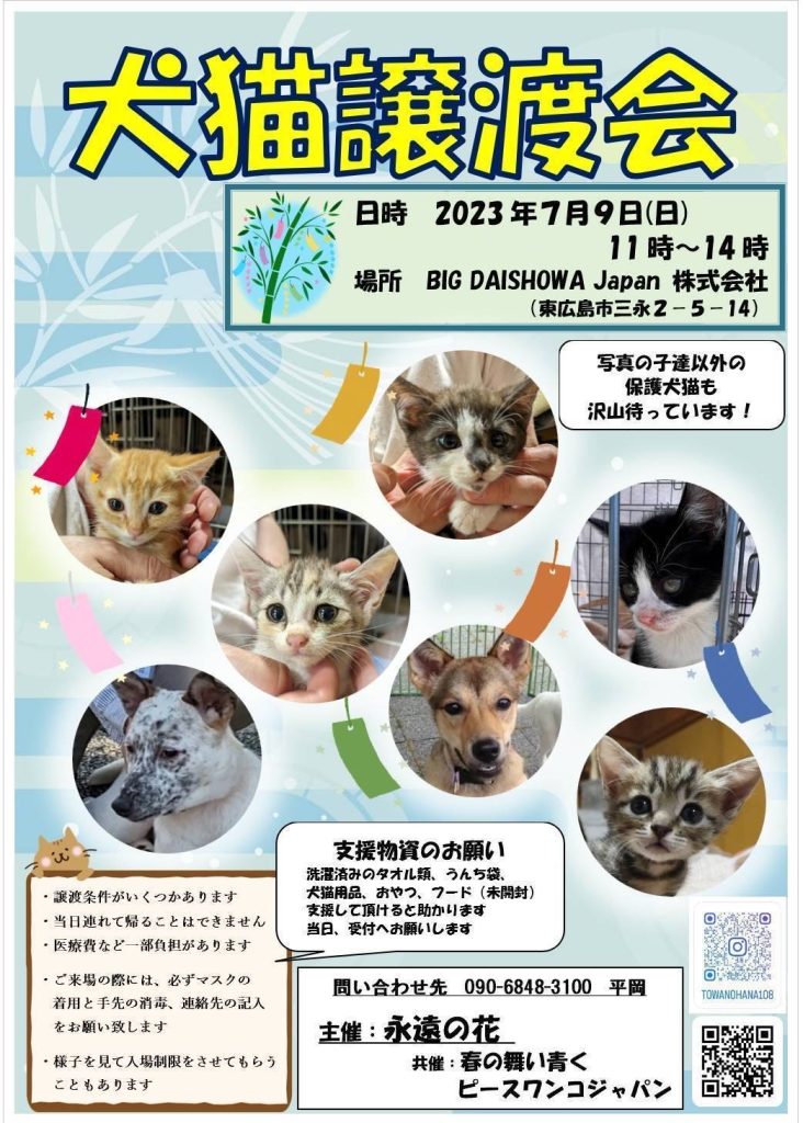 譲渡会・イベントのご案内 1 IMG 8724