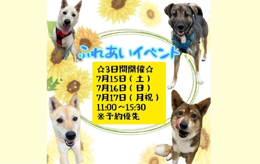 譲渡会・イベントのご案内 7 eyecatch okayama2