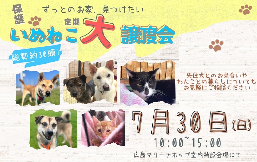 譲渡会・イベントのご案内 11 eyecatch hiroshima 1