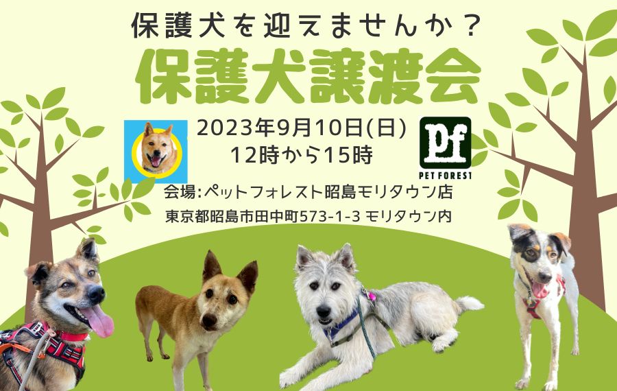 譲渡会・イベントのご案内 5 c038140abdd168fcb91e746a661b5144