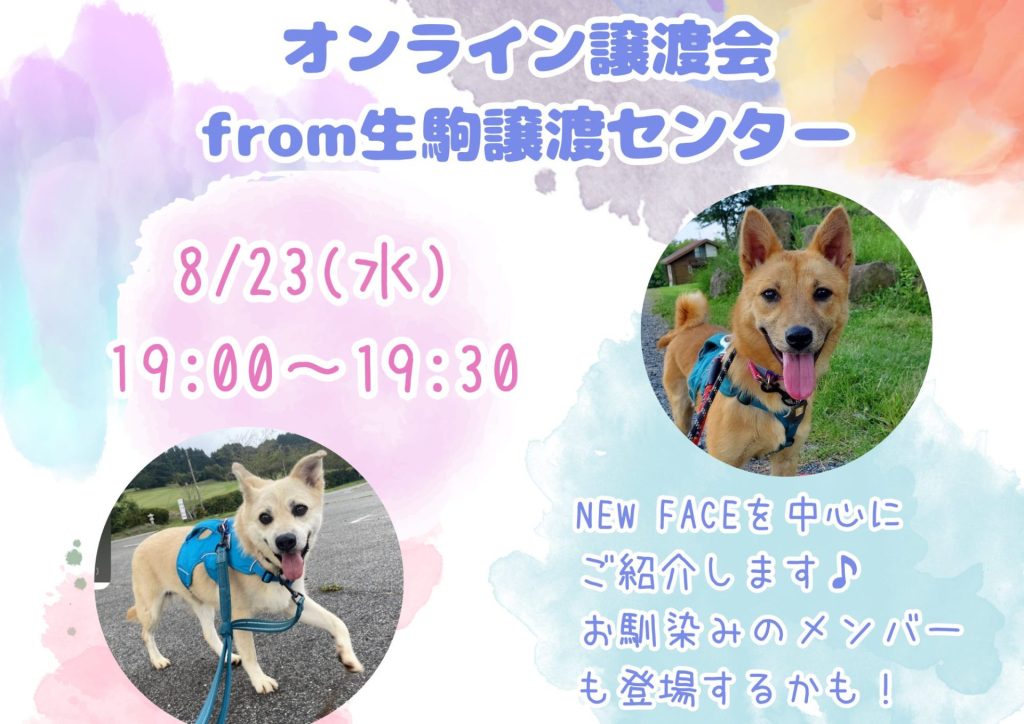 譲渡会・イベントのご案内 7 1e53f233597f5c2201b12fe244993a0a