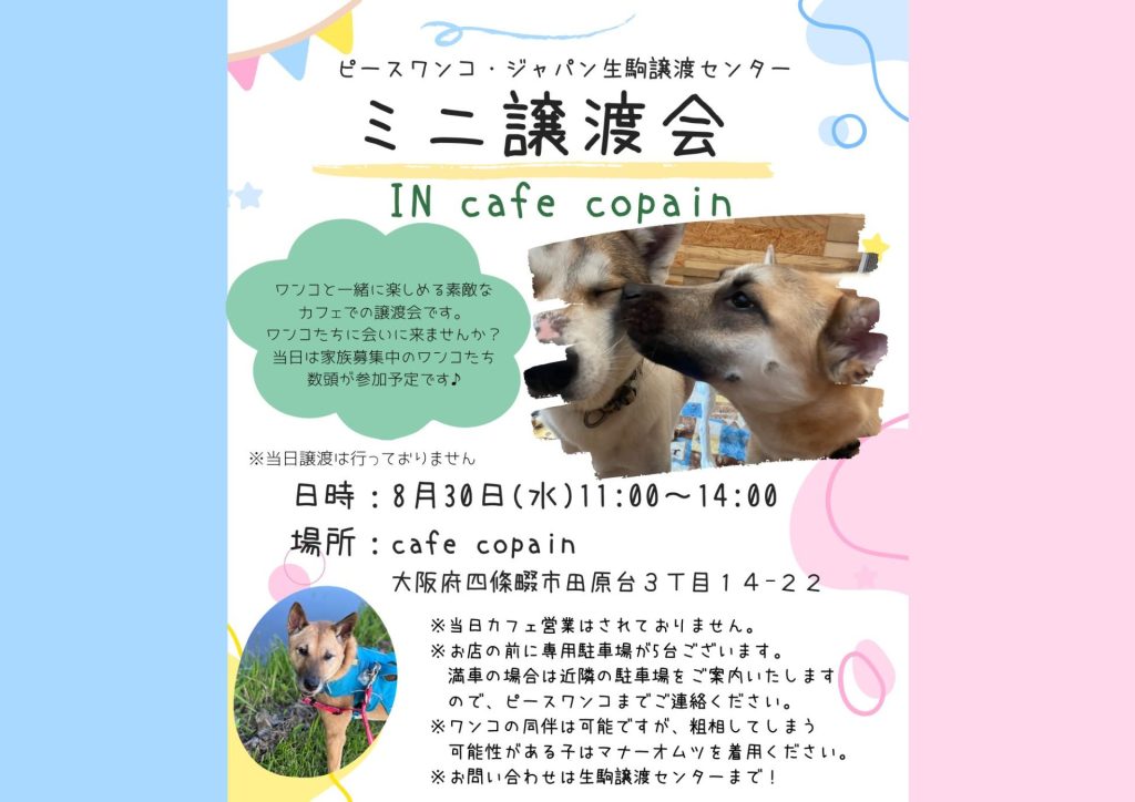 譲渡会・イベントのご案内 11 9de1eeeb1e358a51a8c9714530e279ef