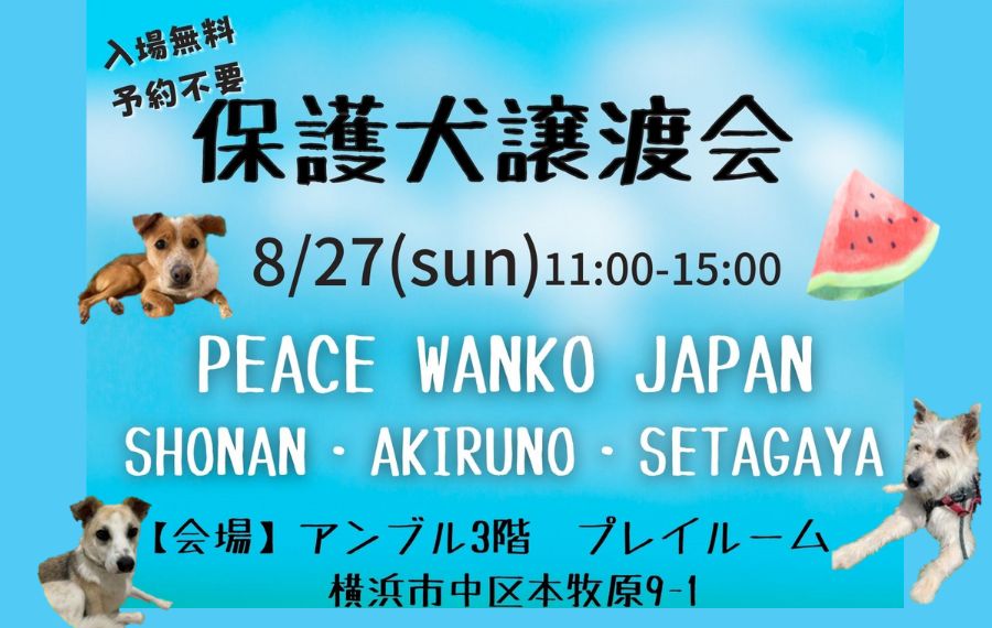 譲渡会・イベントのご案内 5 eyecatch 8