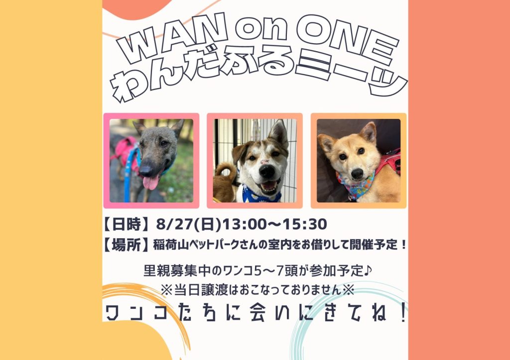 譲渡会・イベントのご案内 12 dd412c5d94d37b6cee66d2414b03ff80