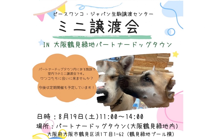 譲渡会・イベントのご案内 2 eyecatch ikoma