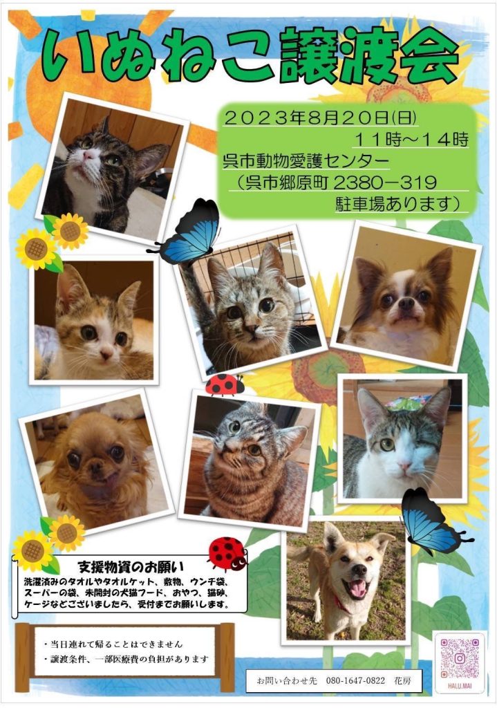 譲渡会・イベントのご案内 11 466166714971980054