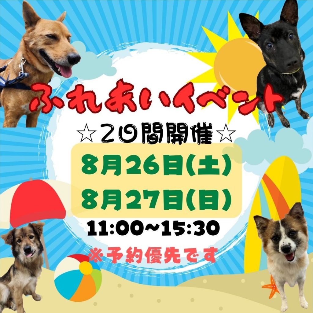 譲渡会・イベントのご案内 3 1691304215317