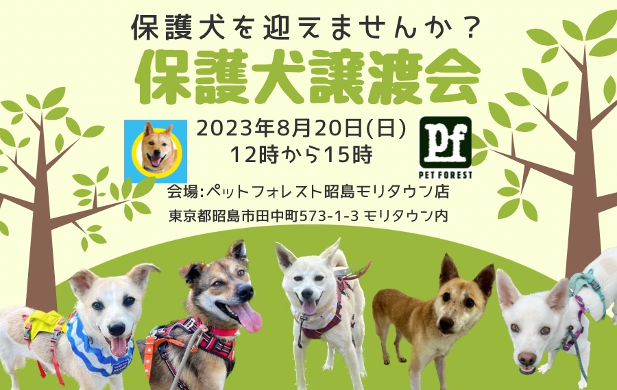 譲渡会・イベントのご案内 8 28C71E65 D02D 4680 BA14 5B703C4A4AC9