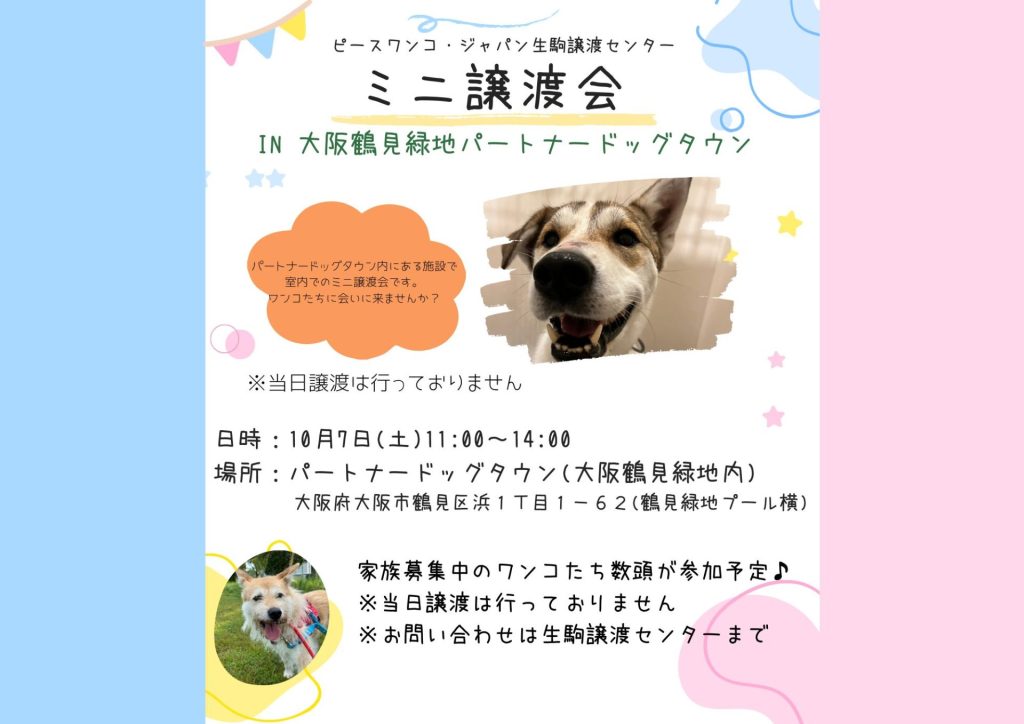 譲渡会・イベントのご案内 11 da88e6b50e0f432b6acc0a720e851ca6 1