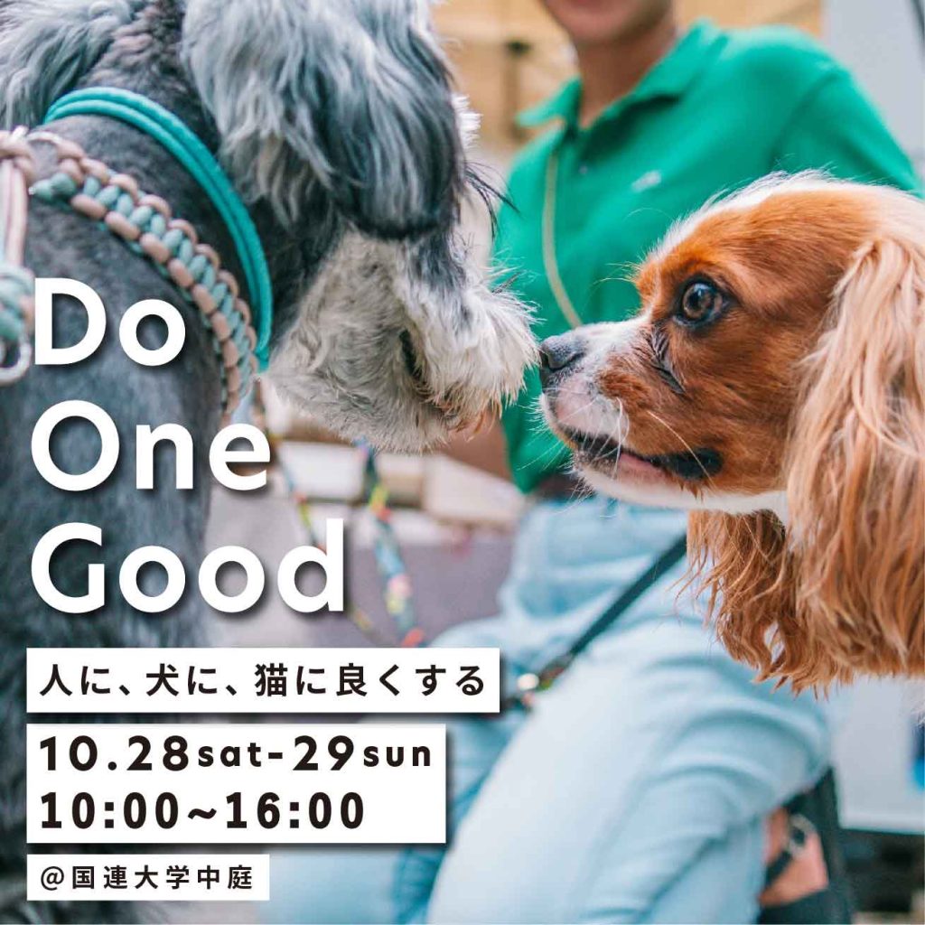 譲渡会・イベントのご案内 2 IMG 7163