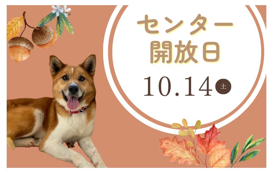 譲渡会・イベントのご案内 6 f6c7f3e234f33ebde7e2cedad170d80d