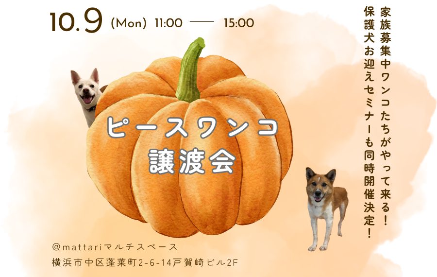 譲渡会・イベントのご案内 8 c1830b95ee1abae99c838c1de038c4a1