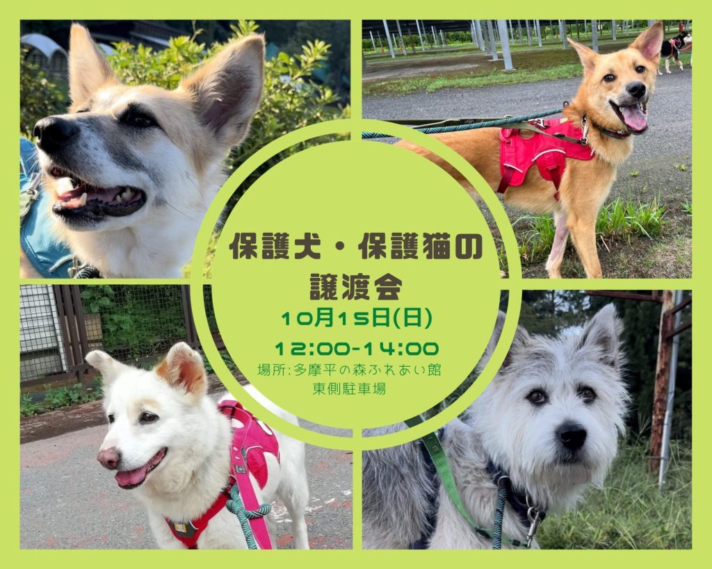 譲渡会・イベントのご案内 3 524ae0912e90d701f11348e13361c63c