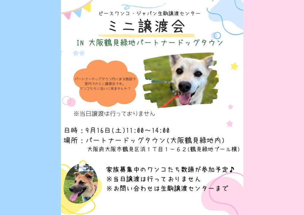 譲渡会・イベントのご案内 12 da88e6b50e0f432b6acc0a720e851ca6