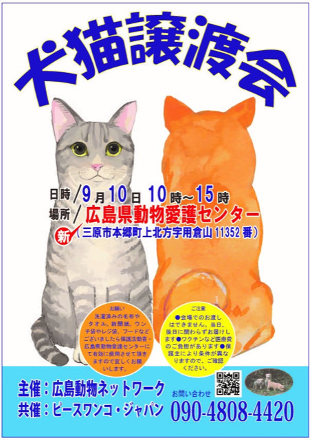 譲渡会・イベントのご案内 4 image0 31 1 1