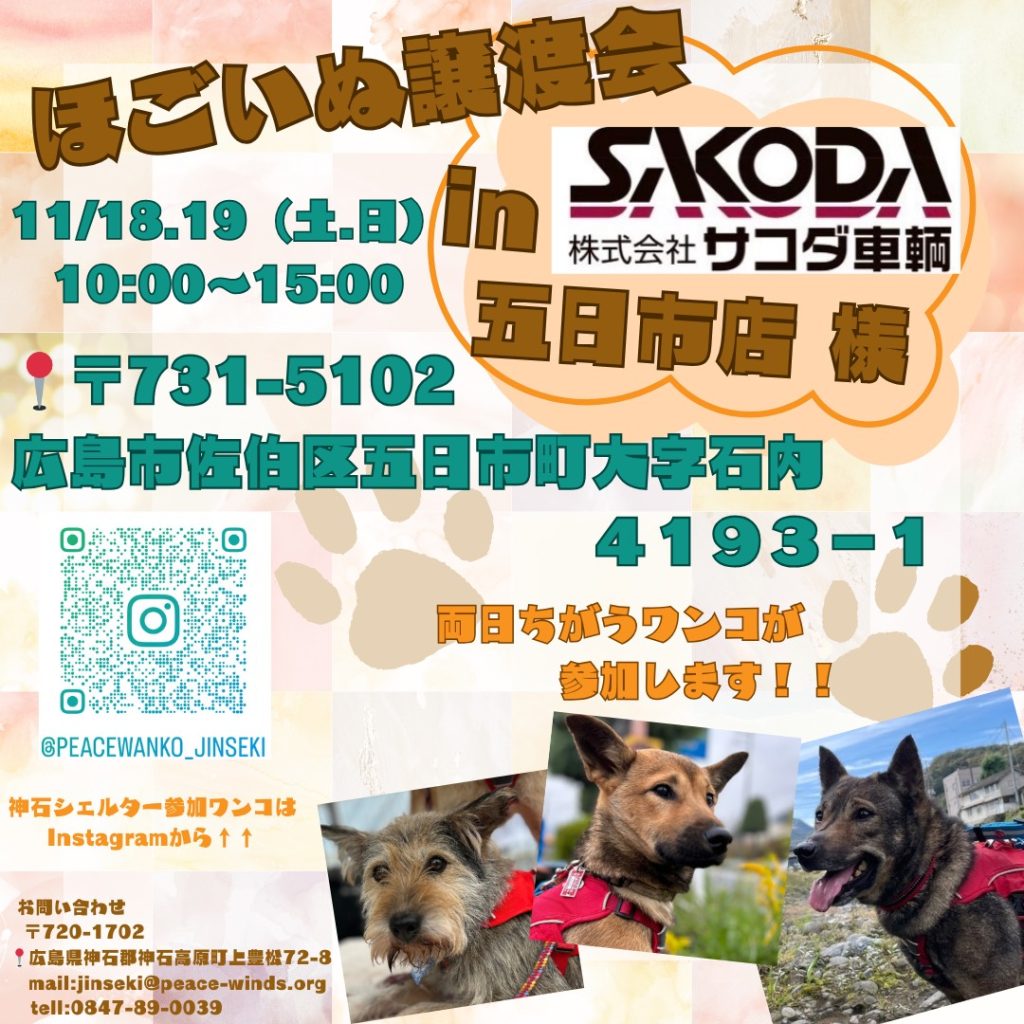 譲渡会・イベントのご案内 5 image 6483441 27