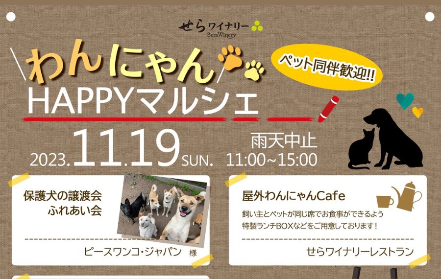 譲渡会・イベントのご案内 2 f111cfec1c04a24aabecf44ce6f1c769