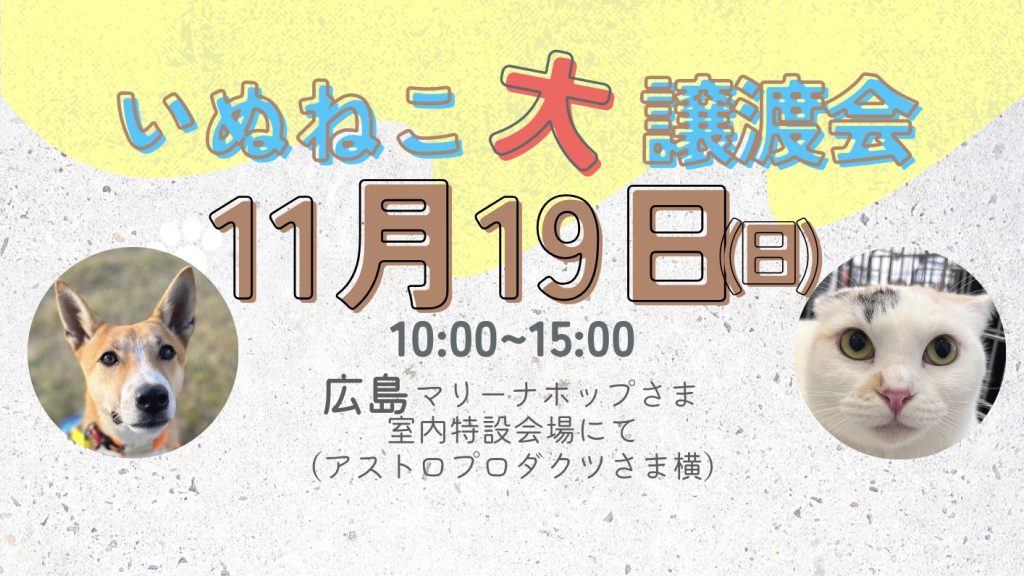 譲渡会・イベントのご案内 1 Peace Wanko Japan