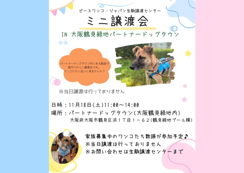 譲渡会・イベントのご案内 8 9e65bc5eb408d5387d58838bc071337c