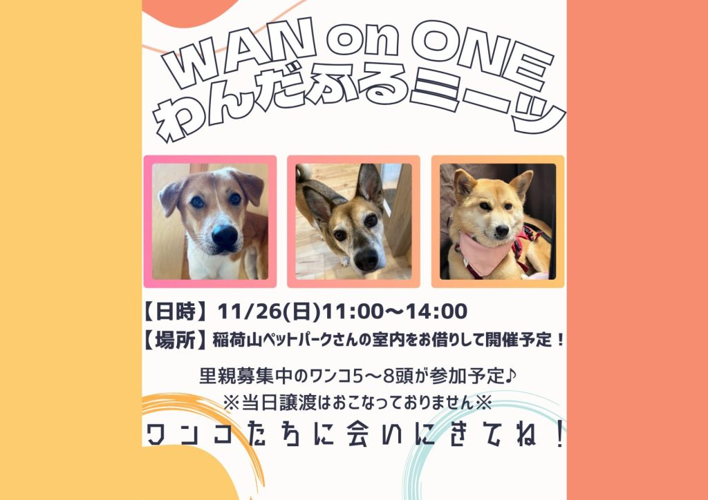 譲渡会・イベントのご案内 3 57a6c9784ef14312d2d07d5ee5eac87f