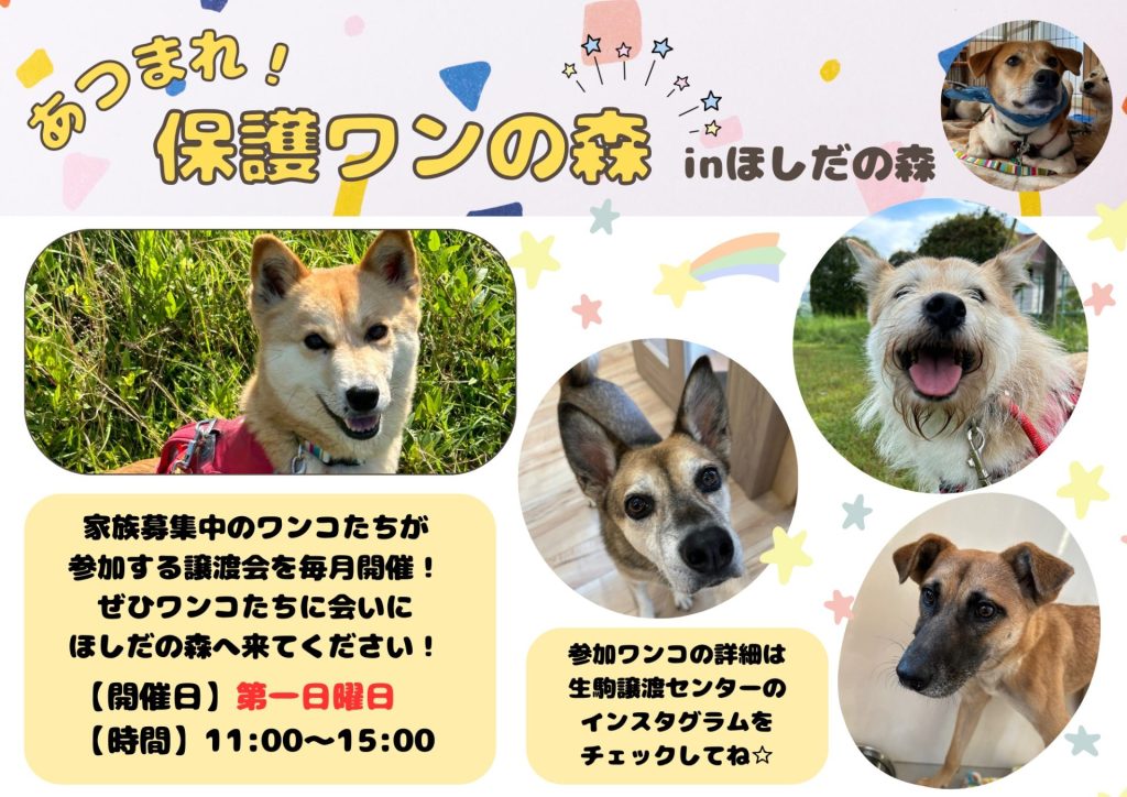 譲渡会・イベントのご案内 7 2758bf235295830e9005152f0661e1a2