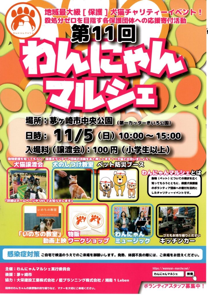 譲渡会・イベントのご案内 12 IMG 1339