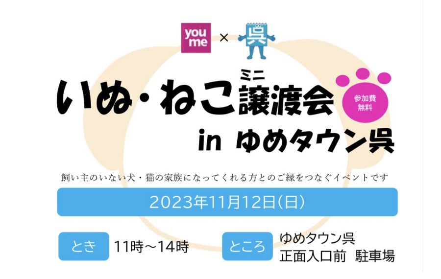 譲渡会・イベントのご案内 12 eyecatch 22