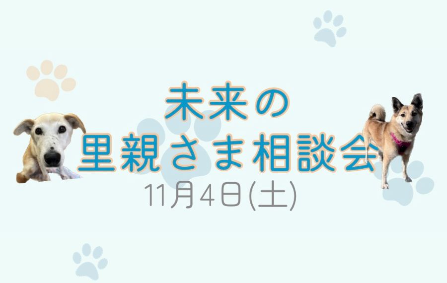 譲渡会・イベントのご案内 2 eyecatch 20