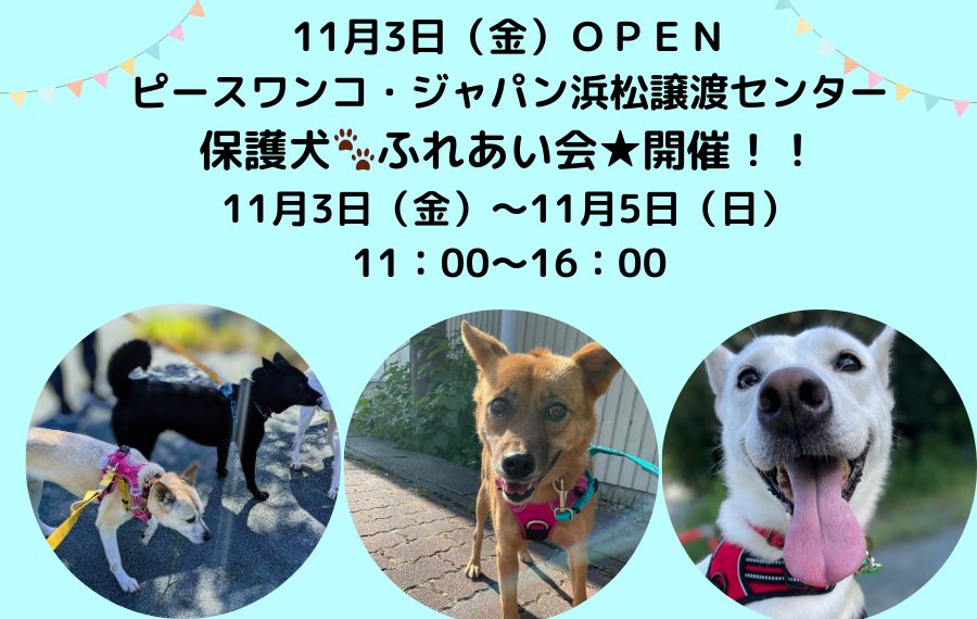 月刊わんこ編集部 | 【感謝】月刊わんこ一周年記念イベント