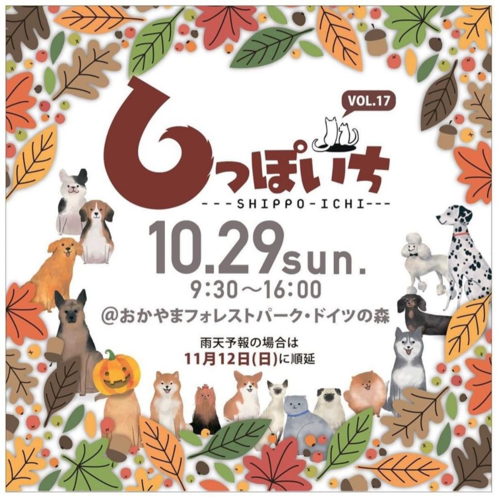 譲渡会・イベントのご案内 10 935ac4fbe26c7473675a979e361bc153