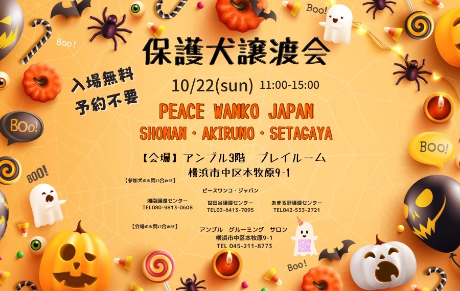 譲渡会・イベントのご案内 8 CE2962E6 1E4B 40E0 9610 A1DF5DE17DA0