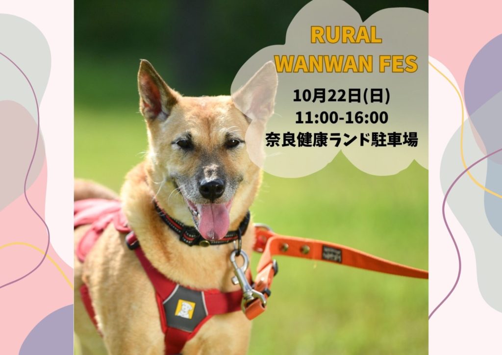 譲渡会・イベントのご案内 7 7861dfe614e4b6162a8956eb344e4a37