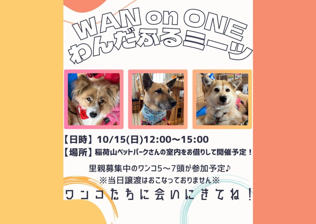 譲渡会・イベントのご案内 1 d288dc1005b4b375ea9d3c65285d3ba7