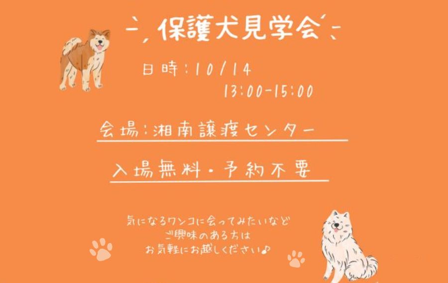 譲渡会・イベントのご案内 4 eyecatch 12