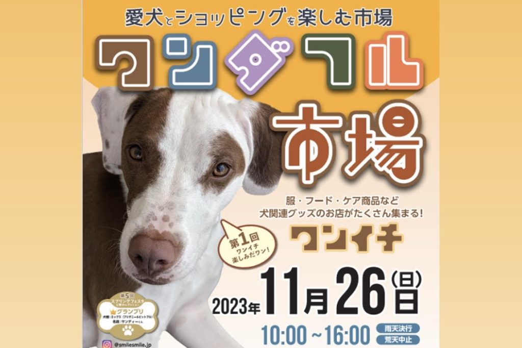 譲渡会・イベントのご案内 2 20231126 1