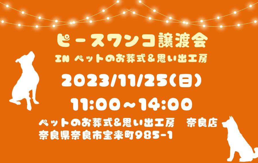 譲渡会・イベントのご案内 7 badfc7be2bc563cc8f20c96613cebaa9