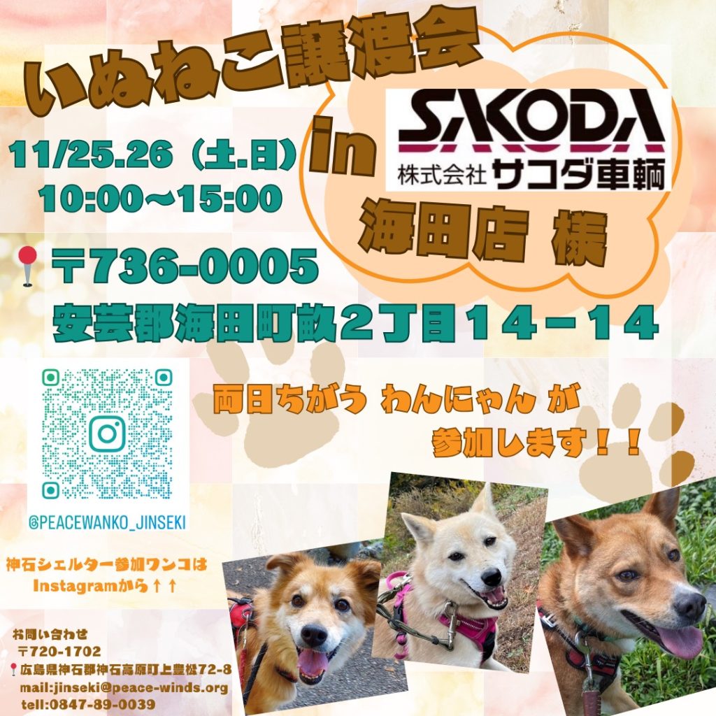 譲渡会・イベントのご案内 8 image 6483441 28