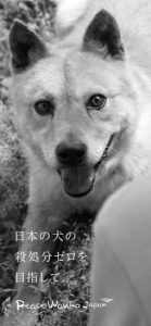 ピースワンコオリジナル「スマホ壁紙」_モノクロA