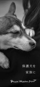 ピースワンコオリジナル「スマホ壁紙」_モノクロB